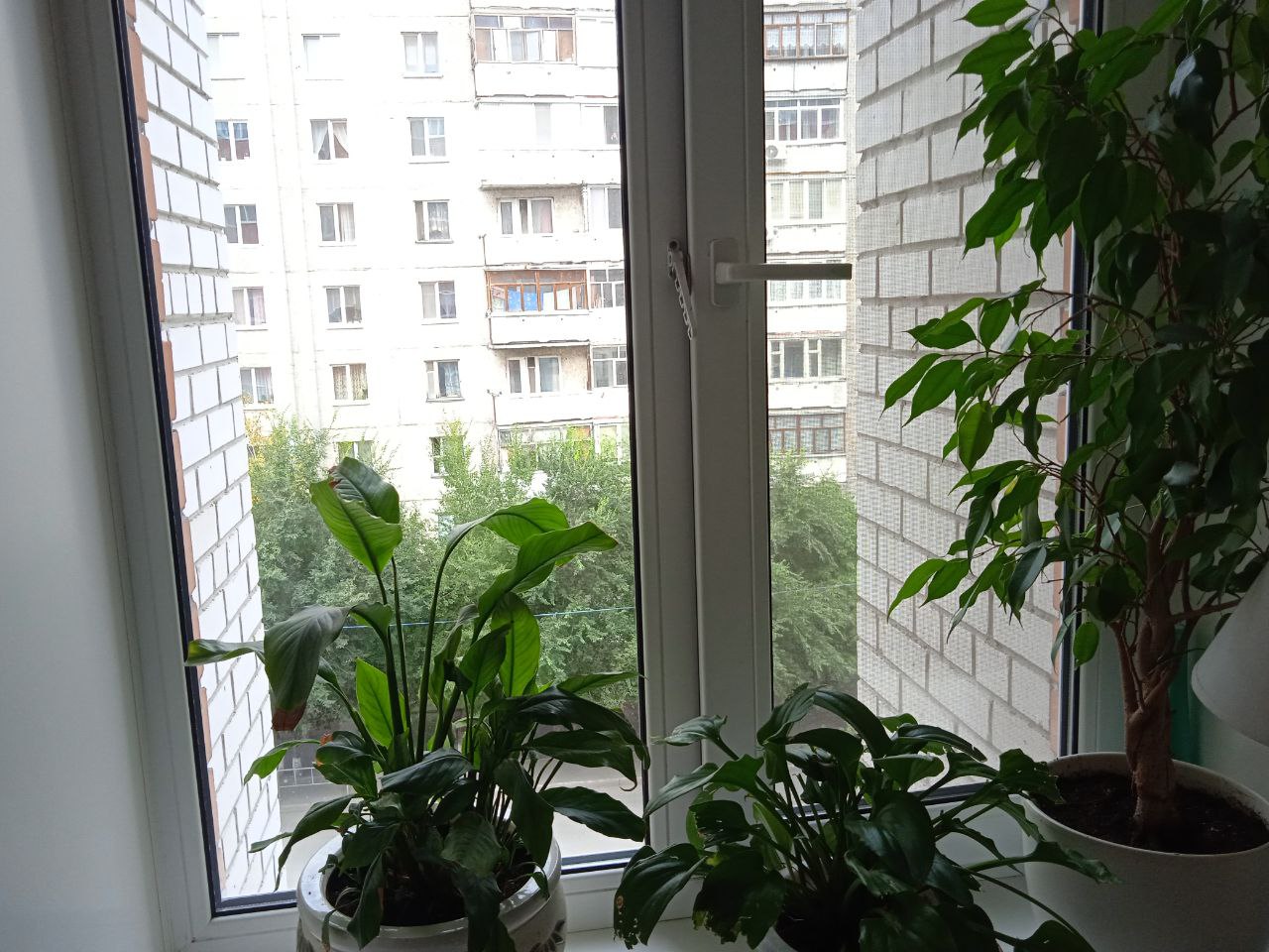 https://melitopol.delaem-okna.ru/storage/app/uploads/public/63f/332/8c0/63f3328c0d6f7867060515.jpg